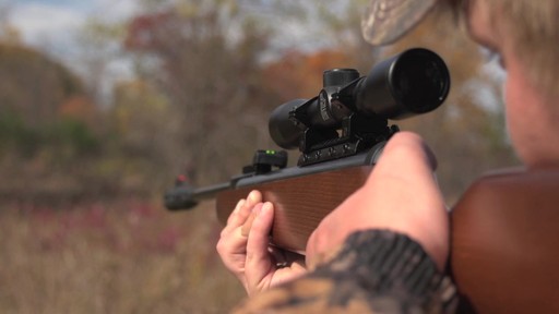 Ruger Silent Hawk Air Rifle - image 9 from the video
