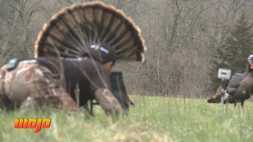 MOJO Scoot-N-Shoot Turkey Decoy - image 2 from the video