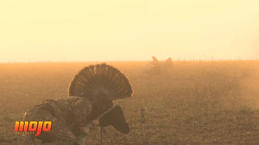 MOJO Scoot-N-Shoot Turkey Decoy - image 6 from the video