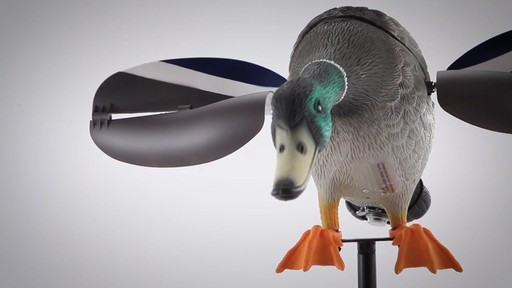 Lucky Duck Lucky Junior Mallard Decoy - image 2 from the video