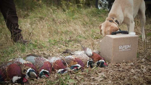 Ruff Land Water Hole - image 4 from the video