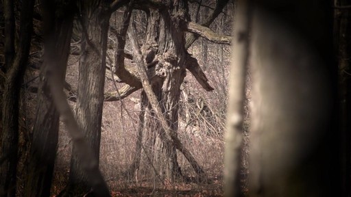 Redfield Ridgeline 10x42 Binoculars - image 6 from the video