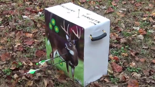 Hybrid King All-purpose Archery Target - image 6 from the video