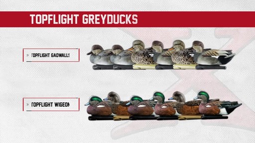Avian-X Top Flight Gadwall Gray Duck Decoys 6 Pack - image 1 from the video