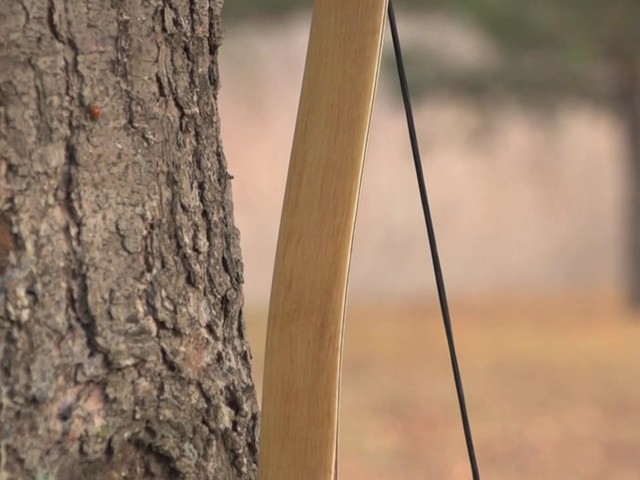 PSEÂ® Mustang 60â - image 3 from the video