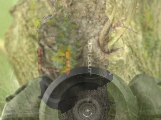 Wildgame Innovations® Elite LightsOut™ 5-megapixel Game Camera - image 1 from the video