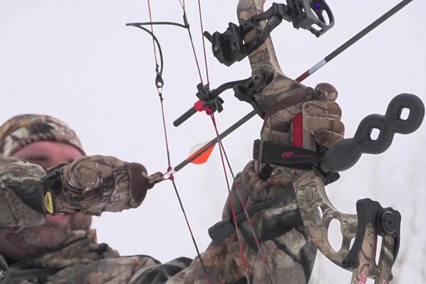 PSE Momentum Compound Bow - image 1 from the video