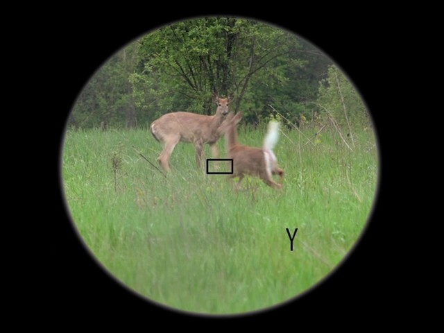 HALO® XTRC™ 500-yd. Laser Range Finder - image 6 from the video