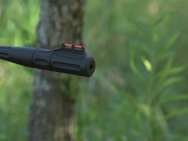 Ruger® Talon .177 cal. Air Rifle - image 3 from the video