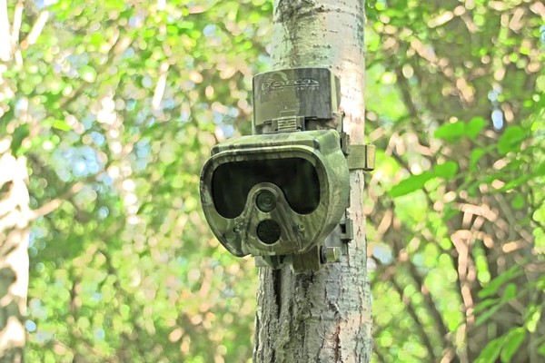 Eyecon™ Mantis™ Trail Camera - image 1 from the video