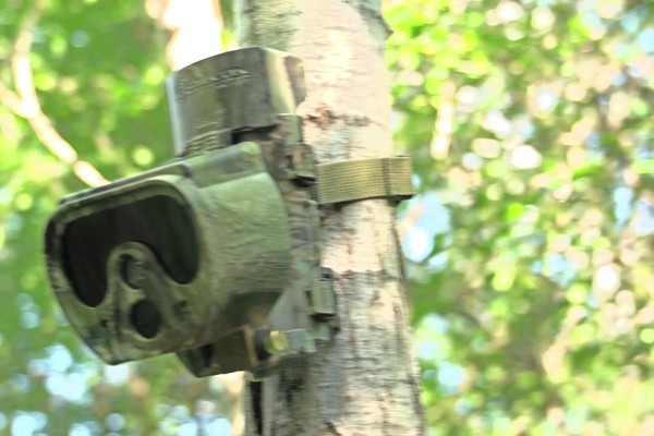 Eyecon™ Mantis™ Trail Camera - image 10 from the video