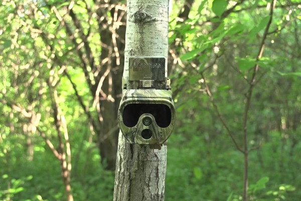 Eyecon™ Mantis™ Trail Camera - image 2 from the video