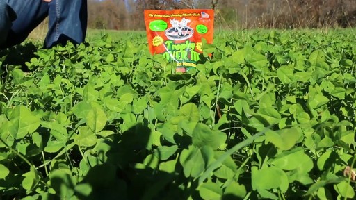 Antler King Trophy Clover Mix - image 1 from the video
