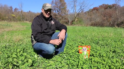 Antler King Trophy Clover Mix - image 10 from the video