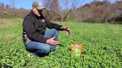 Antler King Trophy Clover Mix - image 2 from the video