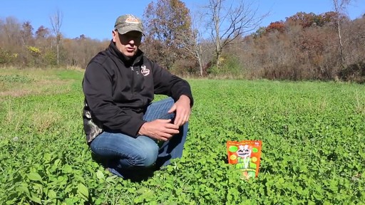 Antler King Trophy Clover Mix - image 5 from the video