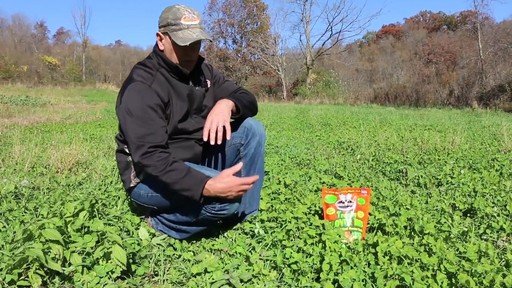 Antler King Trophy Clover Mix - image 7 from the video