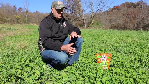 Antler King Trophy Clover Mix - image 8 from the video