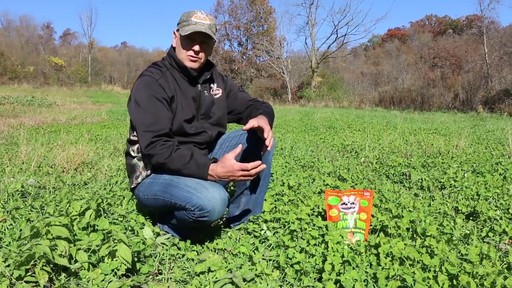 Antler King Trophy Clover Mix - image 9 from the video