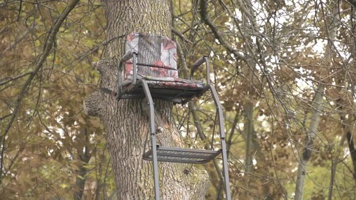Guide Gear 16’ Basic Ladder Tree Stand - image 10 from the video