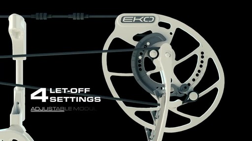 Bear Divergent EKO Compound Bow 45-60 lb. Draw Weight Right Hand - image 4 from the video
