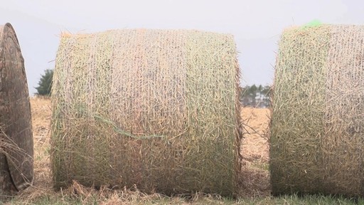 Guide Gear Hay Bale Archery Blind - image 10 from the video
