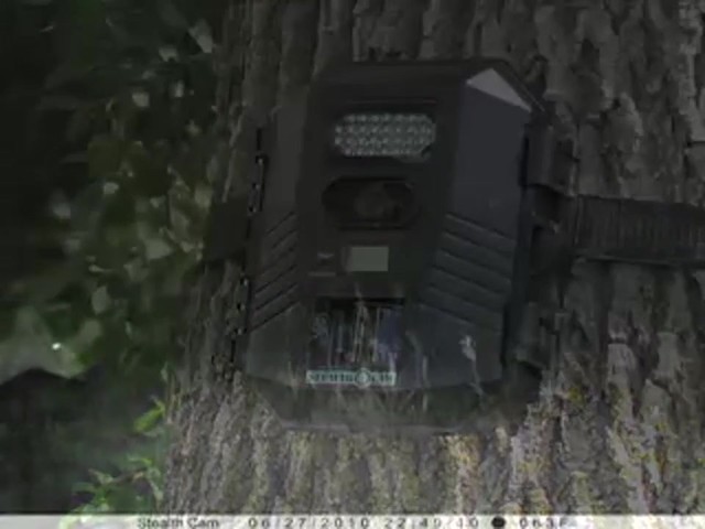 Stealth Cam&reg; Prowler XT 8MP IR Game Camera - image 1 from the video
