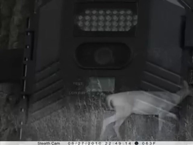 Stealth Cam&reg; Prowler XT 8MP IR Game Camera - image 2 from the video