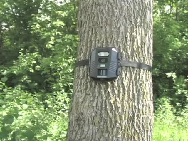 Stealth Cam&reg; Prowler XT 8MP IR Game Camera - image 3 from the video
