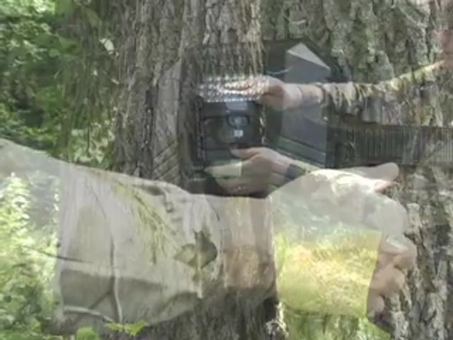 Stealth Cam&reg; Prowler XT 8MP IR Game Camera - image 7 from the video