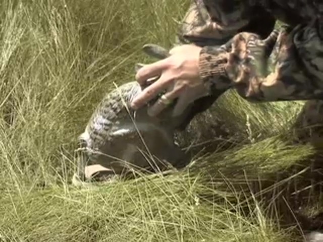 Edge by Expedite&reg; Quiver Rabbit Decoy - image 4 from the video