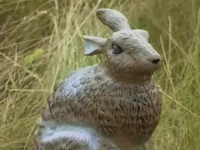 Edge by Expedite&reg; Quiver Rabbit Decoy - image 8 from the video