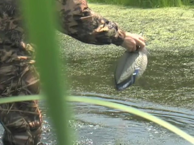 Single Expedite&#153; Quiver Duck Drake Decoy - image 4 from the video