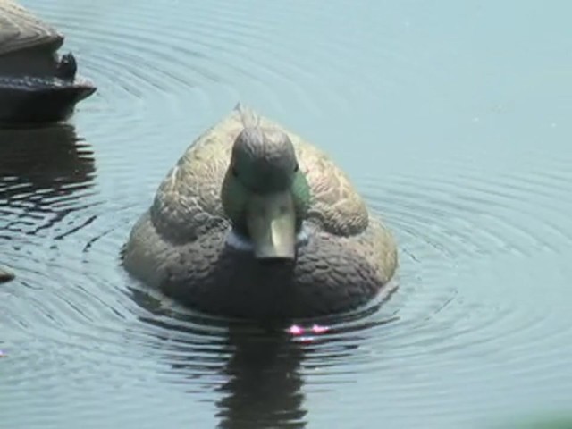 Single Expedite&#153; Quiver Duck Drake Decoy - image 5 from the video