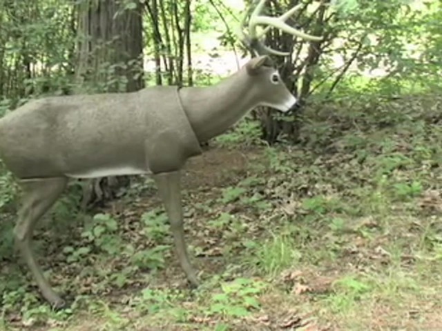 Bobb'n Head&#153; LifeLite&reg; Deer Decoy - image 1 from the video