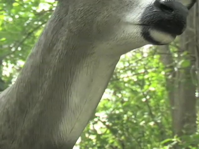 Bobb'n Head&#153; LifeLite&reg; Deer Decoy - image 8 from the video