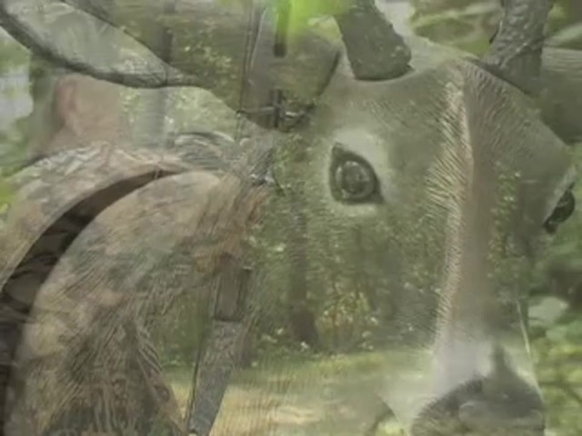 Bobb'n Head&#153; LifeLite&reg; Deer Decoy - image 9 from the video