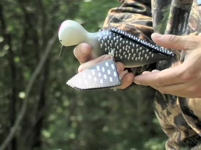Whirling Woodpecker Decoy  - image 2 from the video