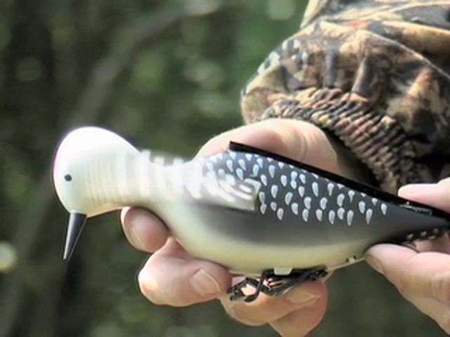 Whirling Woodpecker Decoy  - image 3 from the video