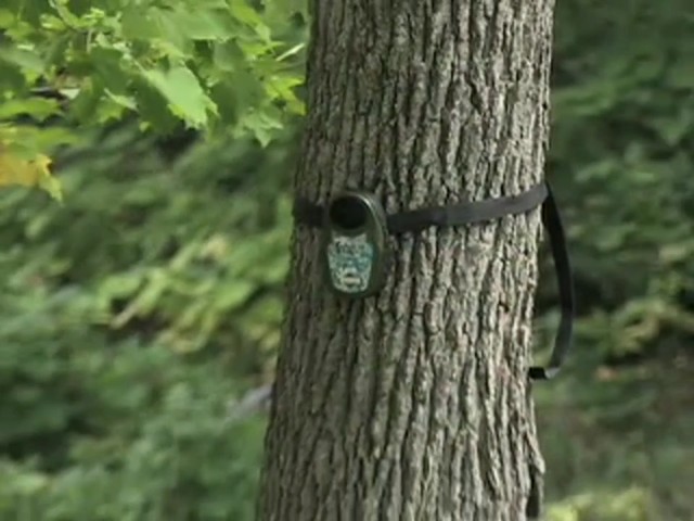 Guide Gear&reg; Wireless Predator Call - image 5 from the video