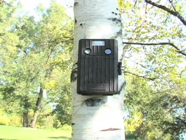 Bushnell&reg; Trail Scout&#153; 2.1 Megapixel Digital Game Camera - image 2 from the video