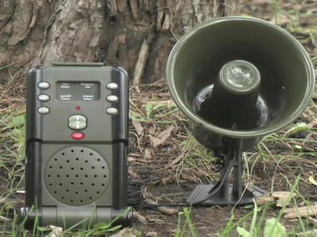 Digital Predator Electronic Caller - image 1 from the video