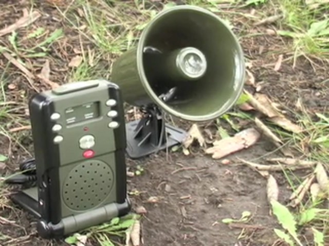 Digital Predator Electronic Caller - image 10 from the video