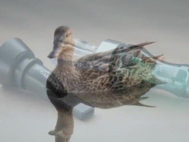 Buck Gardner&reg; Tall Timber II Duck Call Dark Blue - image 5 from the video