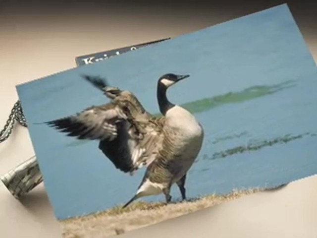Knight and Hale&reg; Goose Calling Kit - image 4 from the video