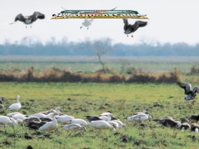 Mick Lacy&reg; Blizzard Snow Goose Call - image 9 from the video