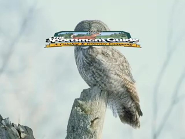 Lohman&reg; Gold Series&#153; Owl Call  - image 9 from the video