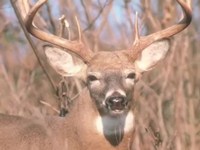 Knight & Hale&reg; EZ-Grunt-er Plus Deer Call  - image 5 from the video