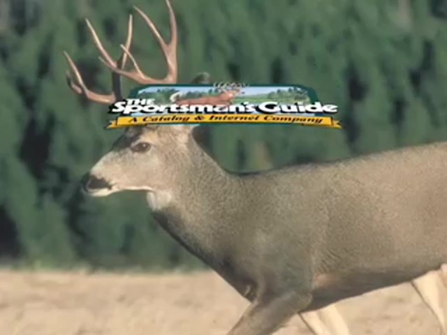 Knight & Hale&reg; Ruttin' Buck Mini Grunter Deer Call  - image 9 from the video