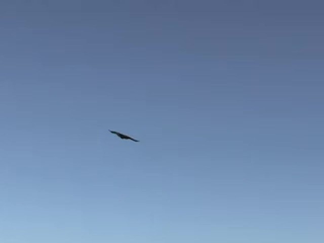 RC B - 2 Spirit Bomber - image 6 from the video